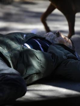 الشهيد شادي البنا 