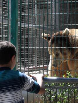 الطفل وقاص الصيفي 