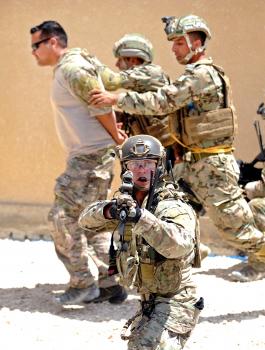 الاسد المتأهب في الاردن 