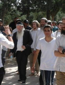 13320472_1181445478599018_251777739143722720_o