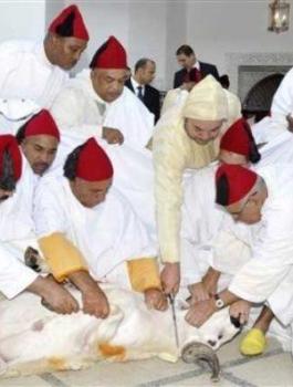 الملك المغربي ينحر اضحية العيد 