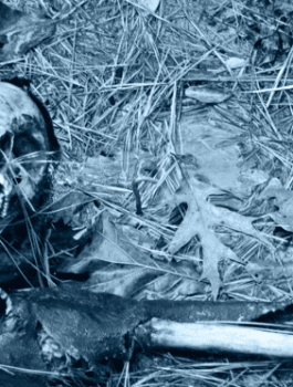 هلاك البشرية 