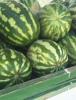 منع استيراد البطيخ الاسرائيلي 