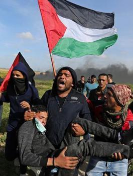 الشهداء الفلسطينيين في غزة 