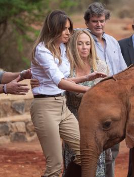 melania-trump-bumped-by-elephant-in-kenya