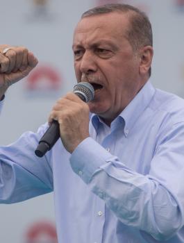 العرب وفوز اردوغان 