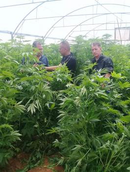 ضبط اشتال مخدرات في الخليل 