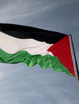 اكبر علم في فلسطين طولكرم 