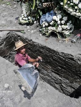 وفيات كورونا 