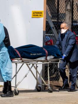 وفيات كورونا في اميركا 