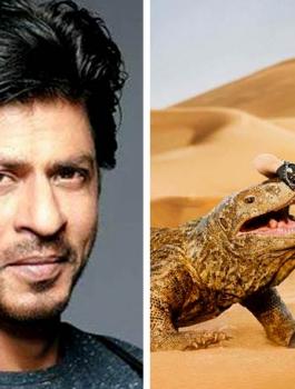 شاروخان ورامز 