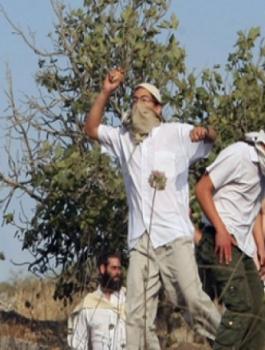 المستوطنون يهاجمون قطافي الزيتون 