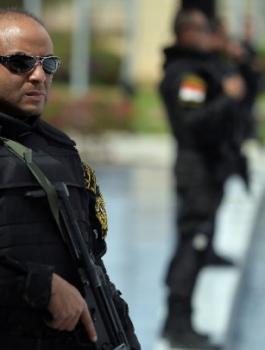 شبكات ارهابية في مصر 