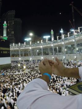 56f3f1f3c36188df018b458b