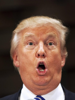 فضيحة جديدة..طفل غير شرعي لترامب من مديرة منزله