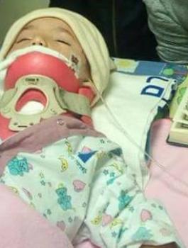 وفاة طفل من مخيم شعفاط بعد ان هاجمه كلب 