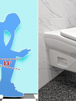 مرحضا لزيادة الانتاجية 