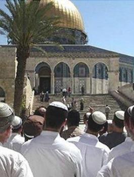 b468a8bf4a5be256b3bc474610f95bd7