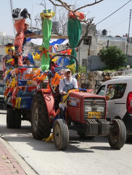 المستوطنون يقتحمون الخليل 