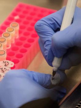 علاج لفيروس كورونا 