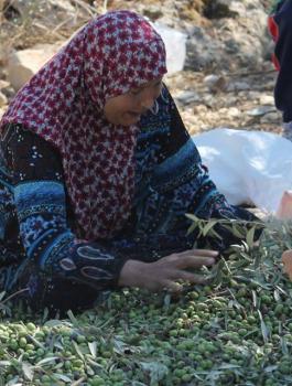 الدفاع المدني الفلسطيني 