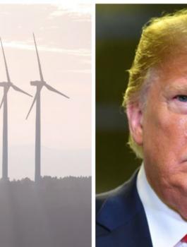 ترامب وطواحين الهواء 