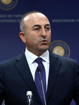 تركيا وهولندا 