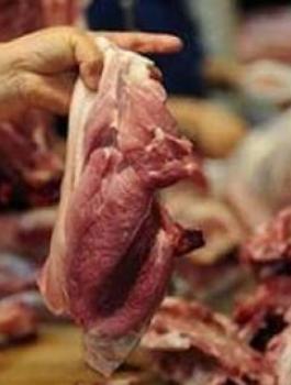 اتلاف اطنان من اللحوم الفاسدة في الخليل 