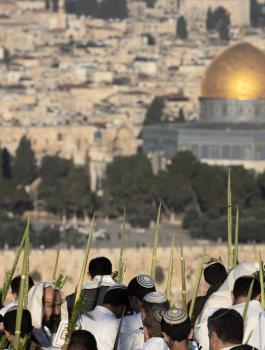 اقتحامات الاقصى 