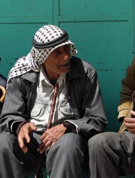 اعداد المسنين في فلسطين 