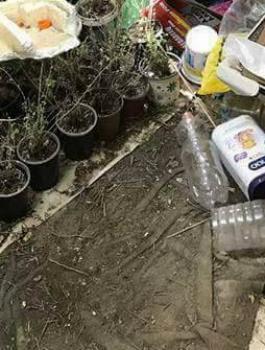 ضبط معملاً للمخدرات جنوب جنين 