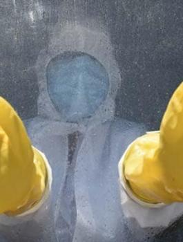 فلسطين والتعافي من فيروس كورونا 