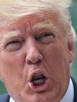 ترامب سأخاطر من أجل السلام