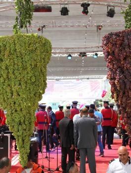 مهرجان العنب 