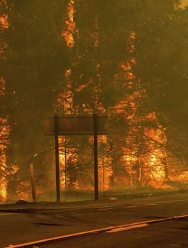 حرائق في كاليفورنيا 