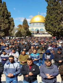 40 ألف مصلّ يؤدّون صلاة الجمعة في المسجد الأقصى