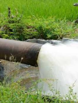 المستوطنين والمياه العادمة 