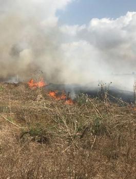 حرائق في مستوطنات غلاف غزة 