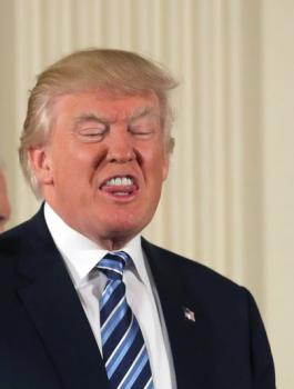 ترامب والانتخابات الامريكية 