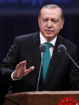 اردوغان وهولندا 
