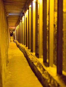 13096144_1153288504748049_7556105844816893291_n