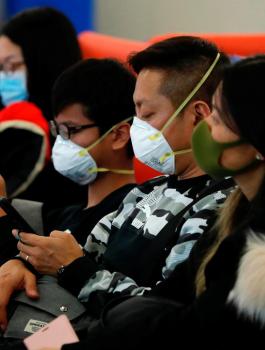 فلسطين وكورونا 