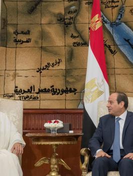 السيسي ومحمد بن زايد 