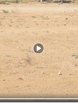 جيش الاحتلال يفجر عبوات ناسفة في غزة 