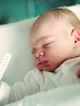 مواليد الضفة الغربية 