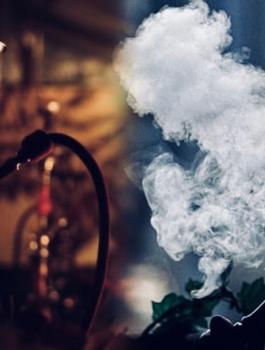 الارجيلة والموت 