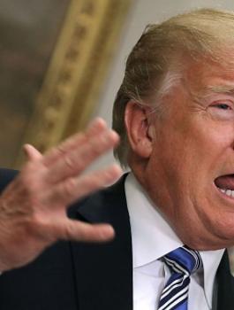 ترامب وادلب 