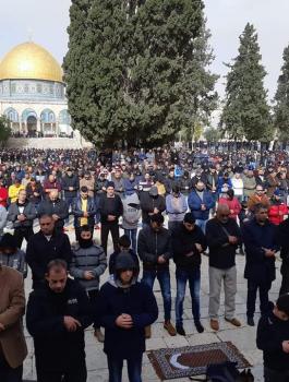 صلاة الجمعة في رحاب الأقصى 