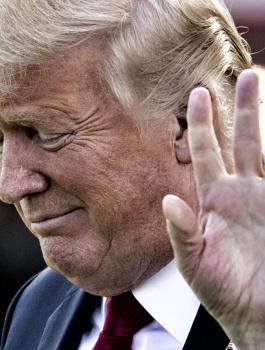 ترامب والهجمات في اميركا 