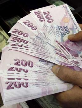 الدولار والليرة التركية 